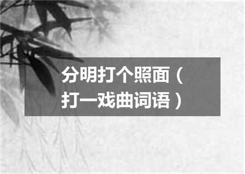 分明打个照面（打一戏曲词语）