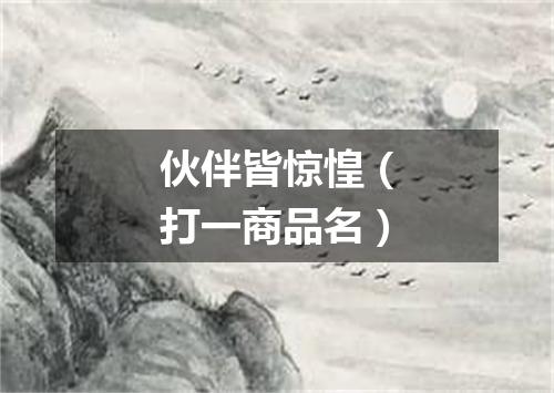 伙伴皆惊惶（打一商品名）