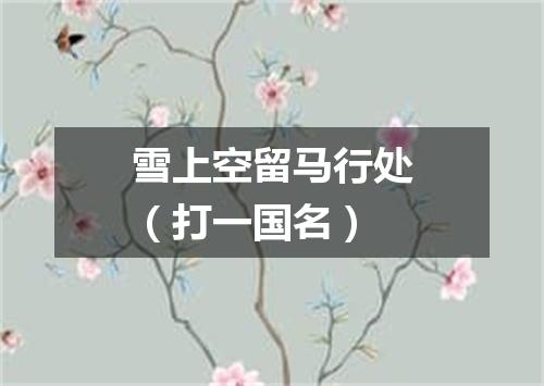 雪上空留马行处（打一国名）