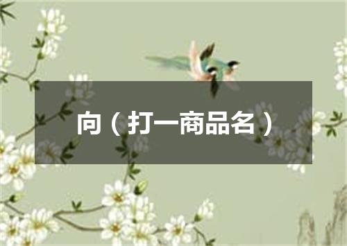向（打一商品名）
