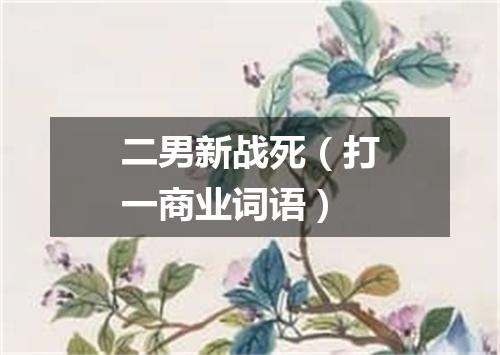 二男新战死（打一商业词语）