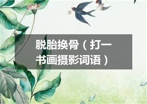 脱胎换骨（打一书画摄影词语）