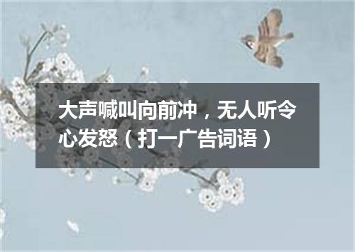大声喊叫向前冲，无人听令心发怒（打一广告词语）