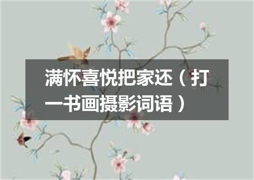 满怀喜悦把家还（打一书画摄影词语）