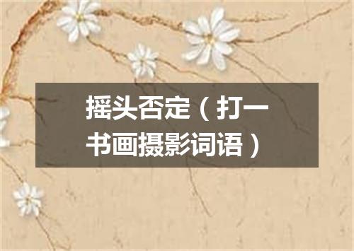 摇头否定（打一书画摄影词语）