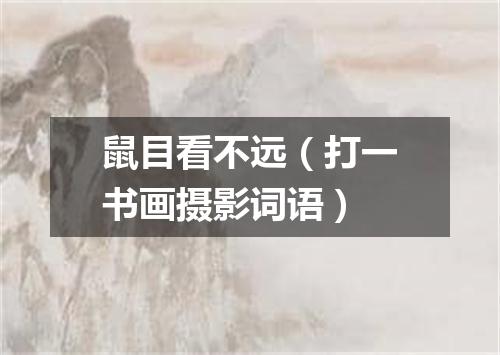 鼠目看不远（打一书画摄影词语）