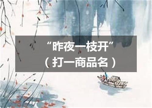 “昨夜一枝开”（打一商品名）
