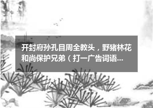 开封府孙孔目周全教头，野猪林花和尚保护兄弟（打一广告词语）