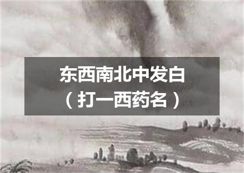 东西南北中发白（打一西药名）