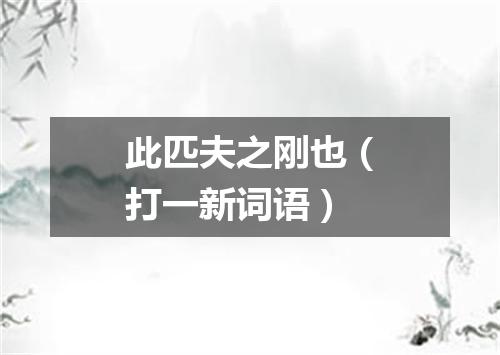此匹夫之刚也（打一新词语）