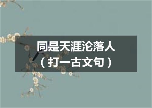 同是天涯沦落人（打一古文句）