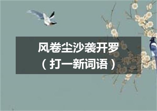 风卷尘沙袭开罗（打一新词语）