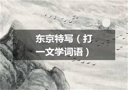 东京特写（打一文学词语）