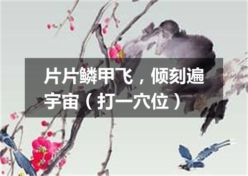 片片鳞甲飞，倾刻遍宇宙（打一穴位）