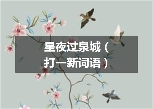 星夜过泉城（打一新词语）