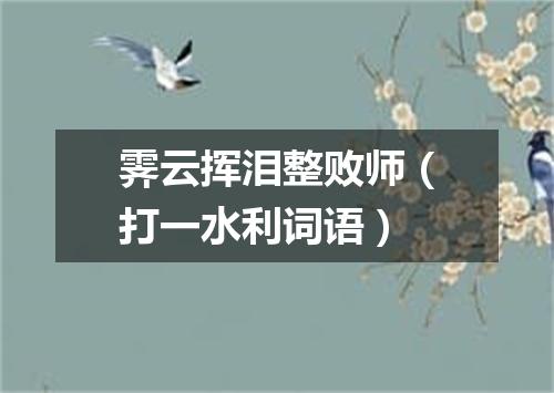 霁云挥泪整败师（打一水利词语）