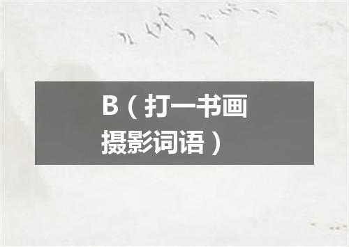 B（打一书画摄影词语）