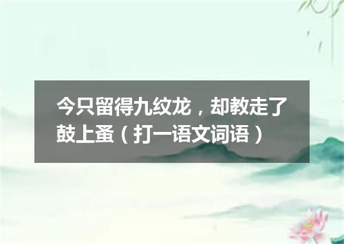今只留得九纹龙，却教走了鼓上蚤（打一语文词语）