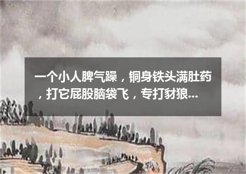 一个小人脾气躁，铜身铁头满肚药，打它屁股脑袋飞，专打豺狼狗强盗。（打一军事物品）