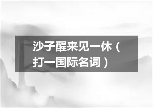 沙子醒来见一休（打一国际名词）