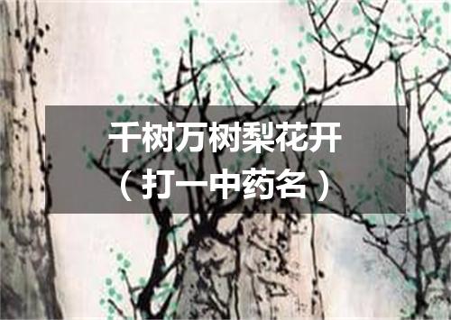 千树万树梨花开（打一中药名）