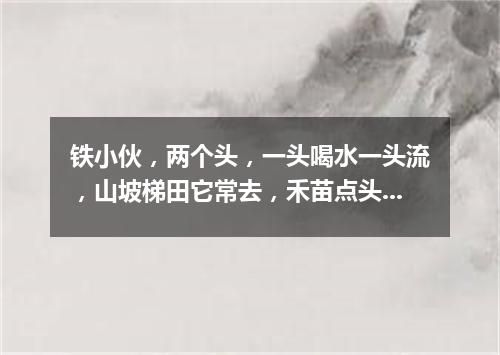 铁小伙，两个头，一头喝水一头流，山坡梯田它常去，禾苗点头乐悠悠。（打一农机用具）