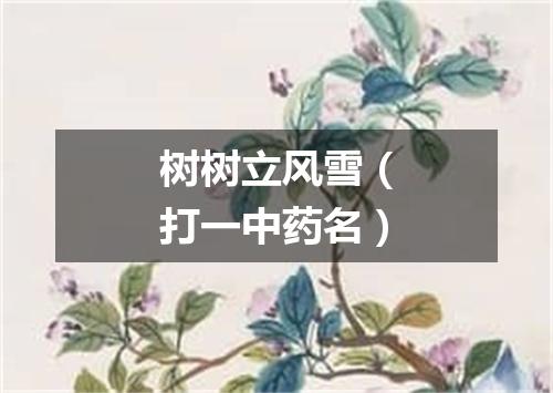 树树立风雪（打一中药名）