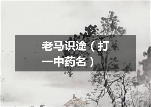 老马识途（打一中药名）
