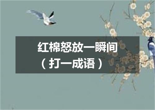 红棉怒放一瞬间（打一成语）