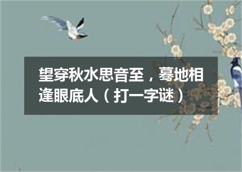 望穿秋水思音至，蓦地相逢眼底人（打一字谜）