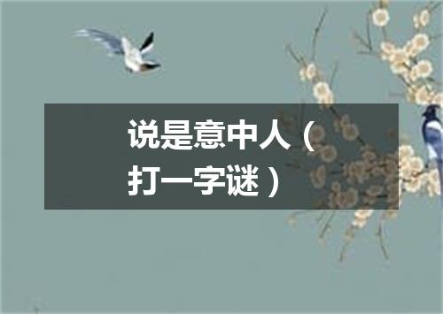 说是意中人（打一字谜）