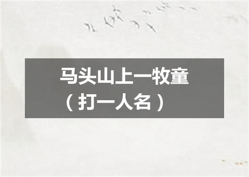 马头山上一牧童（打一人名）