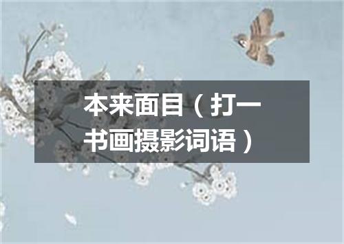 本来面目（打一书画摄影词语）