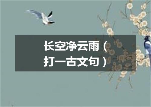 长空净云雨（打一古文句）