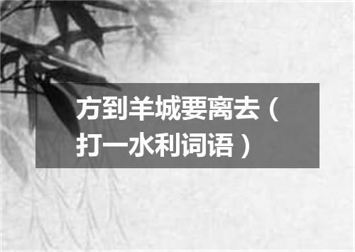 方到羊城要离去（打一水利词语）