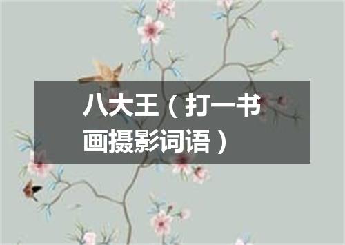 八大王（打一书画摄影词语）