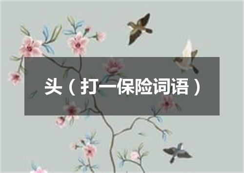 头（打一保险词语）