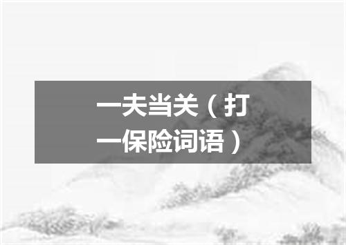 一夫当关（打一保险词语）