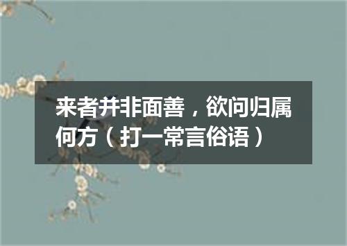 来者并非面善，欲问归属何方（打一常言俗语）