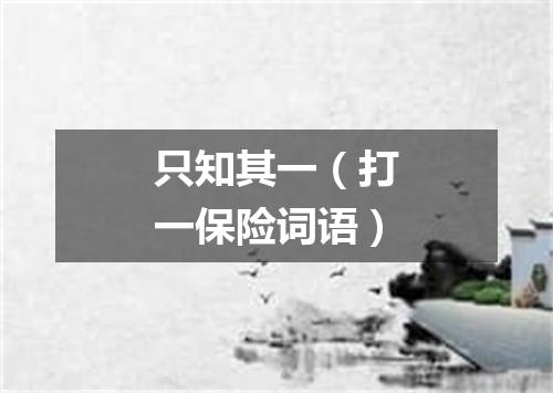 只知其一（打一保险词语）