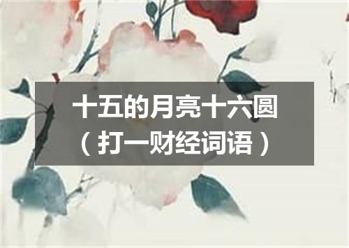 十五的月亮十六圆（打一财经词语）
