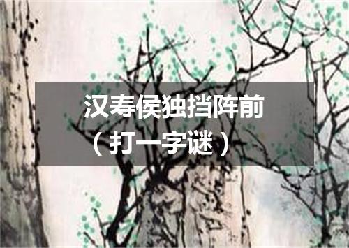 汉寿侯独挡阵前（打一字谜）