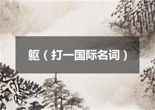 躯（打一国际名词）