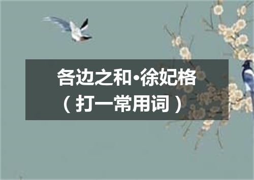 各边之和·徐妃格（打一常用词）