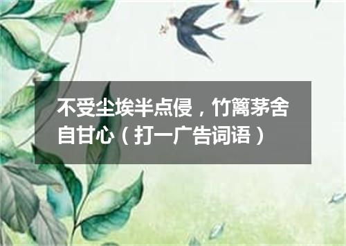 不受尘埃半点侵，竹篱茅舍自甘心（打一广告词语）