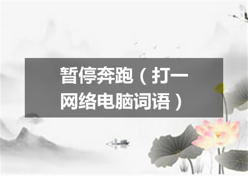 暂停奔跑（打一网络电脑词语）