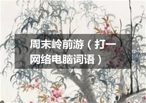 周末岭前游（打一网络电脑词语）