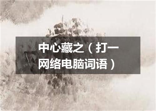 中心藏之（打一网络电脑词语）