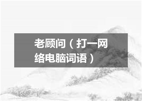 老顾问（打一网络电脑词语）