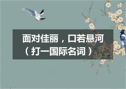 面对佳丽，口若悬河（打一国际名词）